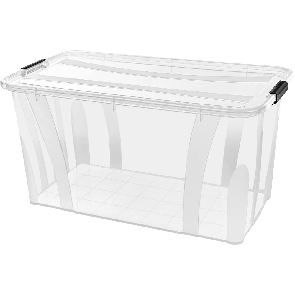 Anzio - Scatola Portaoggetti Plastica con Coperchio, 32 l, 4 pezzi
