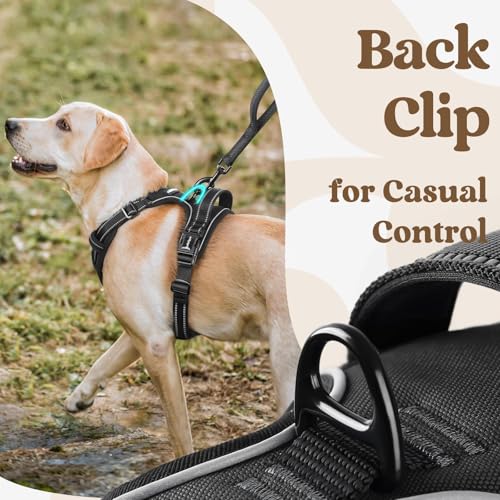 rabbitgoo Dog Harness for Large, No Pull Pet Harness with 3 Buckles, Adjustable Soft Padded Vest with Control Handle, Walking Reflective Pet Vest for Large Dogs, Black, L by rabbitgoo - Image 5