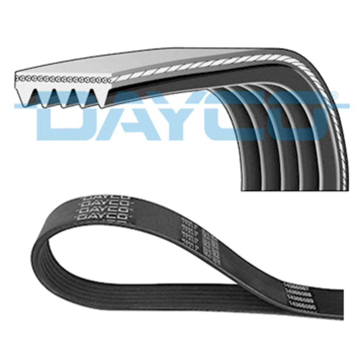 Dayco 5PK1060 Poly Rib Belt