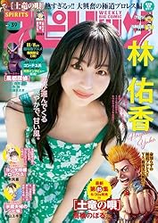 週刊スピリッツ 52号 山田杏奈 表紙 週刊スピリッツ 52号 山田杏奈 表紙 週刊ビッグコミック