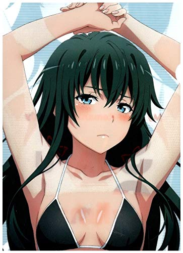 やはり俺の青春ラブコメはまちがっている。　俺ガイル　クリアファイル やはり俺の青春ラブコメはまちがっている。完 クリアファイルD