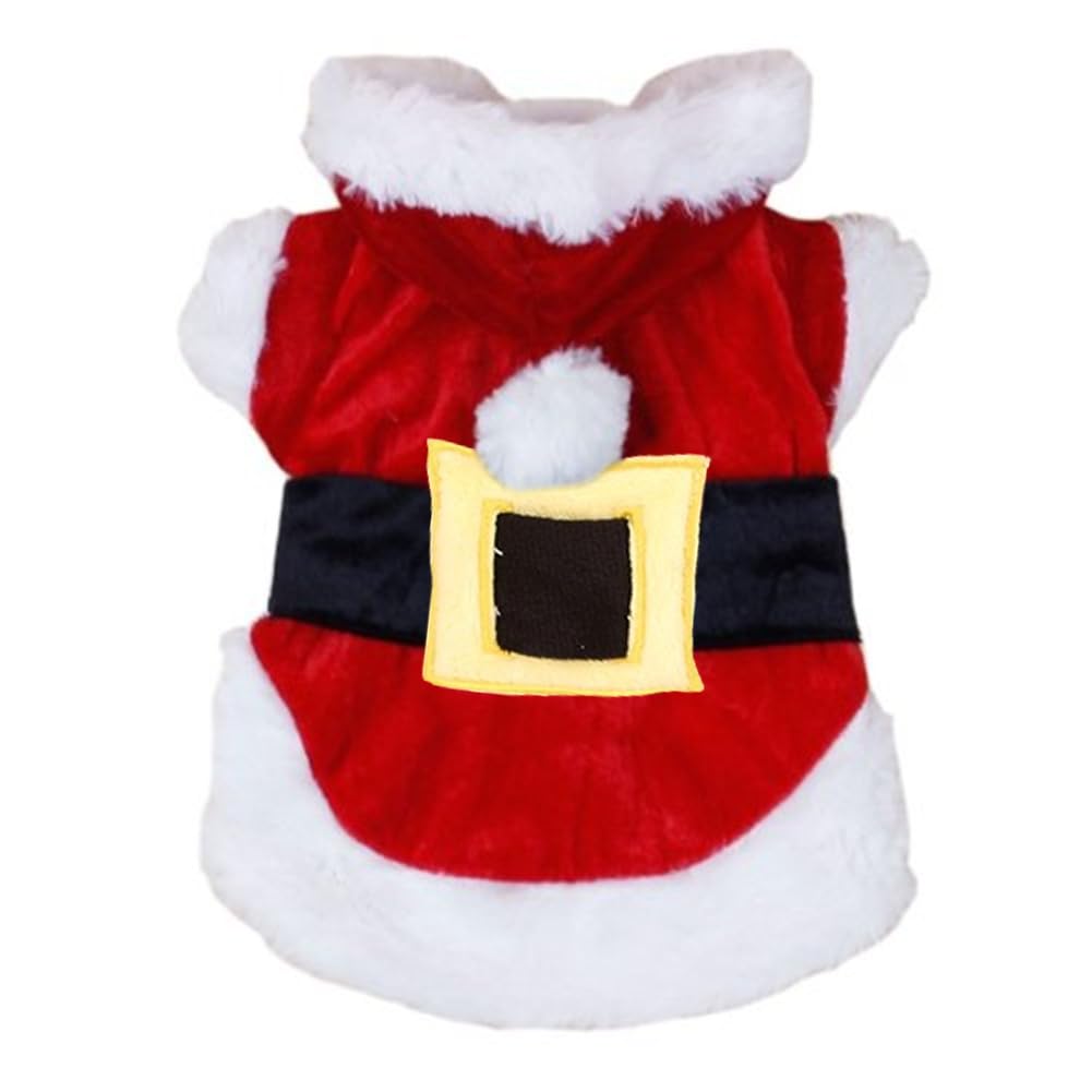 Chihuahua frileux en hiver ? Découvrez nos vêtements de Noël pour chiens