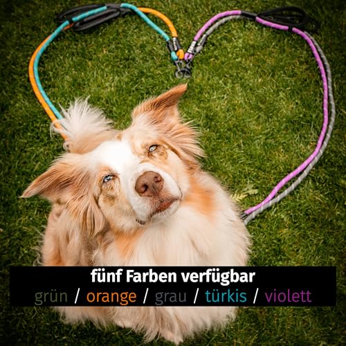 Floxik Tauleine für Hunde Grün | Innovative 1,5m Hundeleine mit Zwei Griffen und reflektierenden Nähten für mittelgroße & große Hunde | wetterbeständiges & belastbares Kletterseilmaterial