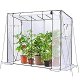 Ohuhu Tomato Greenhouse for Outdoors: Portable Green House Heavy Duty with Roll-Up Zippered Door PE Cover, Tall Plastic Greenhouses for Outside Small Winter Plants Shed for Backyard, 6.6x2.5x5.6 FT