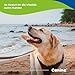 Canina Knoblauch Tabletten, 180g