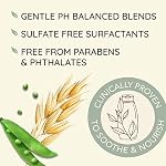 Aveeno Plant Protein Blend Shampoo for Strong Healthy-Looking Hair, 12 fl oz