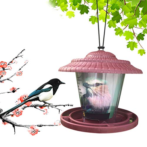 SummarLee Bird Feeder, Hanging Bird Feeder, Portable Automatic Bird Food Dispenser for Window Or Outdoor Bird Feeding Station
