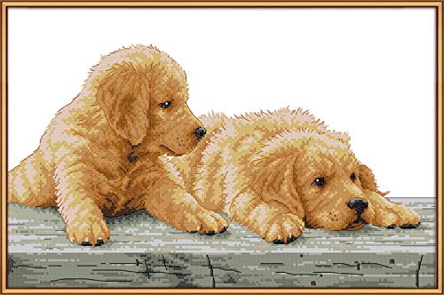Peinture au diamant 5D deux chiots kit d'art strass 30x40cm