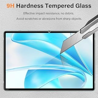 Haofun Pellicola Protettiva (23,4 * 15,2 CM) per Tablet 10 Pollici, TECLAST/XGODY/HotLight/SGIN/YESTEL/PIXPEAK/DOOGEE U10/JIKOCXN/ZIOVO/Yicty/Freeski/FACETEL, 2 Pezzi 9H Durezza Vetro Temperato