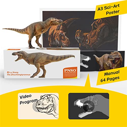 Figurine Tyrannosaure AMITD 58 Luxiong pour créer une ambiance cabinet de curiosités