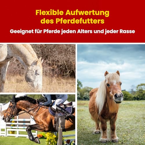 Scheidler horse-direkt Teufelskralle Liquid für Pferde 2500ml – Flüssiger Booster für Pferdefutter – 100% Natürliches Ergänzungsfutter – Alternativ zu Teufelskralle Pulver/Pellets -