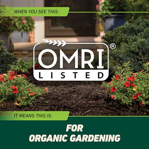 Image of Ortho GroundClear Weed and Grass Killer2 Concentrate, Kills Dandelions, Chickweed, Crabgrass, Moss and More in Patios and Landscapes, OMRI Listed, 32 fl. oz.