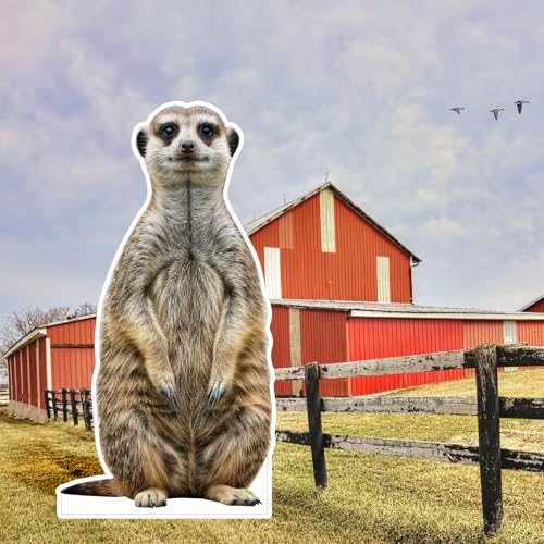 Image of Meerkat1 Life Size Cardboard Cutout, 4FT, Party Decor, 1 PC | Cardboard Meerkat1 Animal Standup for Events, Birthday, Photos, Holiday, Wedding, Party, School Events