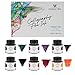 Mancola 6 Colors Calligraphy Pen Ink, Dip Pen Ink Set Non-Carbon Drawing Writing Art Craft Calligraphy Inks Bottles, 28ML x 6 Bottles