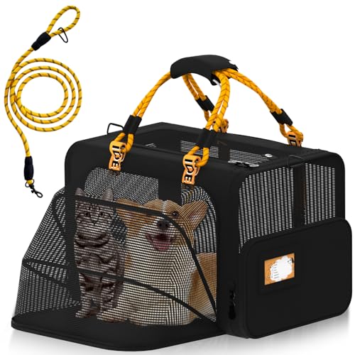 PAWZIDEA Large Pet Carrier Expandable, 24"Γ16"Γ16" Soft-Sided Cat Carrier for 2β4 Cats up 55lb, Portable & Collapsible Small Medium Dog Travel Crate for Car, XL Storage Pocket, ID Card, Shou