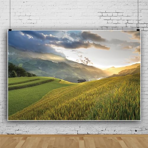 MIRRORANG 2,2x1,5m Natural Landscape Backdrop Forest Mountain View Meadow Countryside Photography Background Rural Life Vacation Tourism Photo Studio Props Wallpaper - Image 2