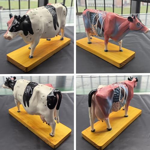 Modèle d'acupuncture en PVC résistant pour retenir les 68 points - 7