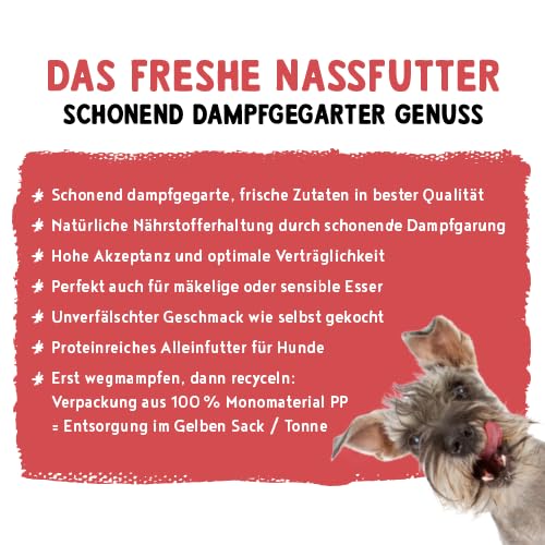Bosch Freshe Schnauze, Rind mit Hirse und Rote Bete 8 x 250 g, Schonend Dampfgegartes Nassfutter für Hunde, Vollwertiges Alleinfuttermittel mit hohem Fleischgehalt, 8 x 250 g Hundenassfutter