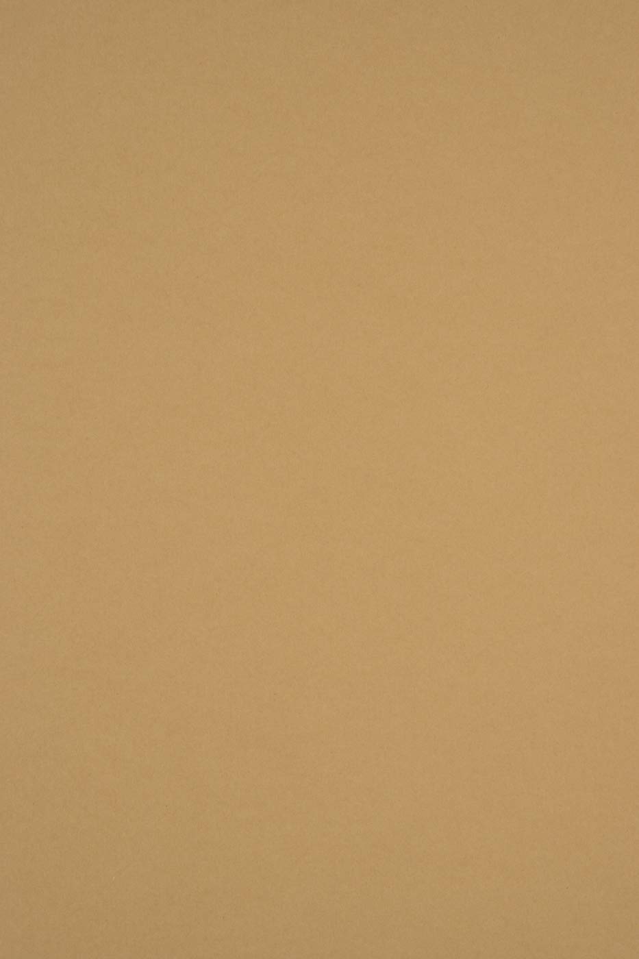 Netuno 100x Light Brown Coloured Paper A4 210 x 297 mm 8.3 x 11.7 in 170gsm Sirio Color Bruno Colourful Printable Card Craft Paper for DIY Projects cardmaking Invitations Greeting Cards Weddings — image 1