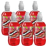Variety Flavour Soft Drink 330ml – Sour Apple, Summer Fruits, Orange & Mango, Refreshing Fizzy Beverages, Mixed Fruit Soda Pack - Frtjy (6 x Bottle, Summer Fruits)