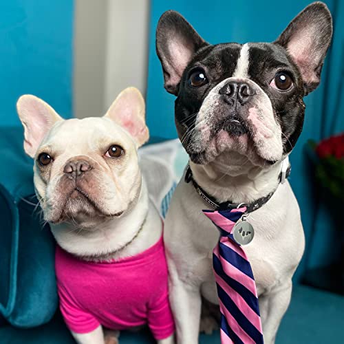 Disontag Qr Code Dog Tags, Personalized Dog Tags For Pets, Dog Id Tags, Dog Name Tags, Online Pet Page Prevent Lost/Modifiable French Bulldog Gifts #TOP5