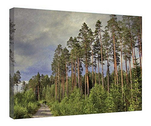 Toile vélo en forêt 40x50 cm avec cadre en bois prêt à suspendre