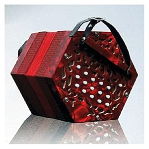 TYYLCZF Concertina Retro 30-Key Kind Multi-Button Volwassen Mini Beginner Bayan Orgel Muziekinstrument Handboek (Color…