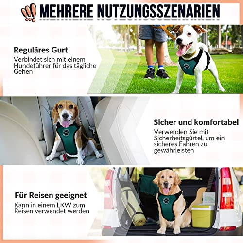 SlowTon Hundegeschirr für Hunde, No Pull Sicherheitsgeschirr Kleine Mittlere Hunde Brustgeschirr Dog Harness Weich Gepolstert Atmungsaktiv
