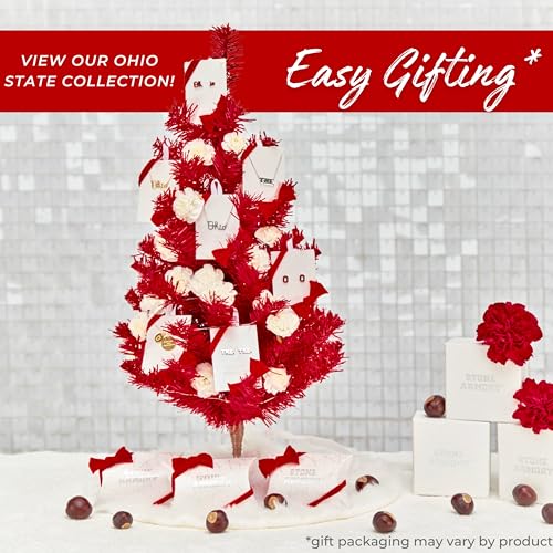 Stone Armory Earrings for Ohio State University Jewelry Gifts for Women, Graduation – Stainless Steel Skin-Friendly OSU Buckeyes stud earrings4