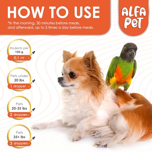 Cat & Dog Herbal Broad Spectrum Cleanser – Liquid Cleanse for Puppy & Kitten – Digestive Support & Better Nutrition Absorption for Pets – Wormwood, Pumpkin Seeds and Carrot in The Composition – 2 Oz