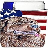 Bandera estadounidense de Estados Unidos con aisladores de bebidas ultra de Terranova para latas delgadas LH9024MUK