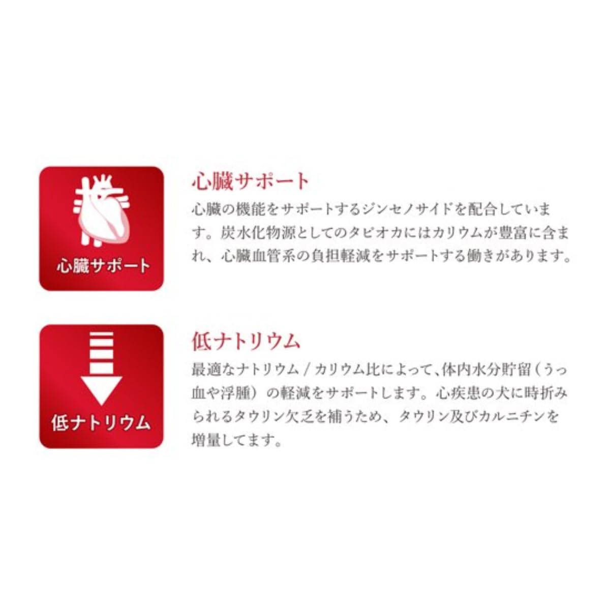 Amazon.co.jp: ベッツソリューション VetSolution Monge ドッグフード 