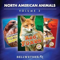 North American Animals: Volume 3 Titelbild