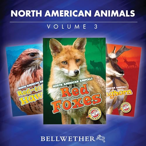 North American Animals: Volume 3 by various episode artwork