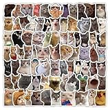 300 adesivi meme a forma di gatto, fantasma, animale, gatto, vento, emoji, mappa del gambo, materiale adesivo manuale (100 adesivi * 3 [tre set di collezioni ripetute])