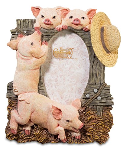Preisvergleich Produktbild Katerina Prestige na0808 Bilderrahmen Schweine Hut