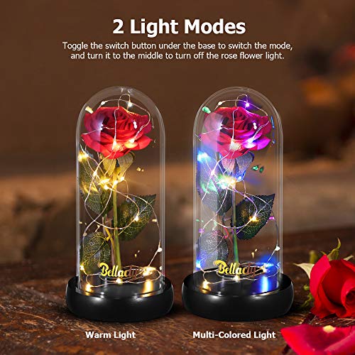 La Bella e la Bestia Rosa Eterna, Kit di Rose