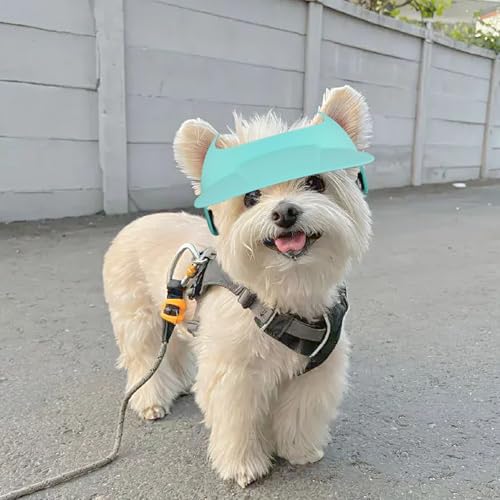 Chapeau pour chien réglable avec trous pour oreilles pour le camping