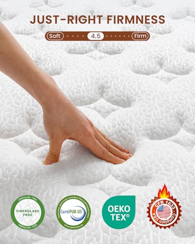 Image of BedStory Queen Size Mattress 12 Inch - Plush Mattress in a Box