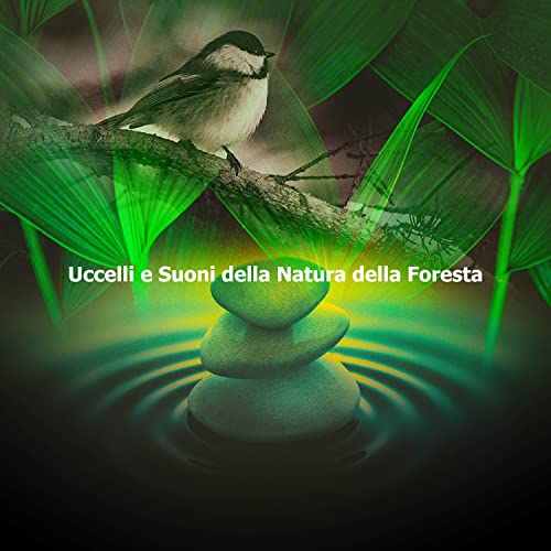 Play Uccelli e Suoni della Natura della Foresta by Club di relax ...