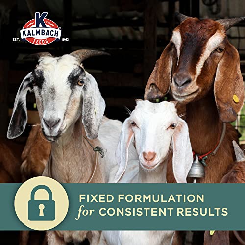 Kalmbach Feeds 16% Goat Grain Textured Complete Goat Feed, 50 lb Bag - Thumbnail 5