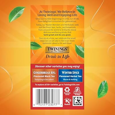 Twinings Christmas Tea - Black Tea Blended with Spicy and Aromatic Clove and Cinnamon, Tea Bags Individually Wrapped, 20 Count Ea (Pack of 2)