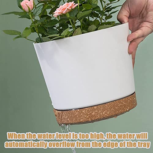 LATERN 3Pcs Self Watering Plant Pots - Image 4