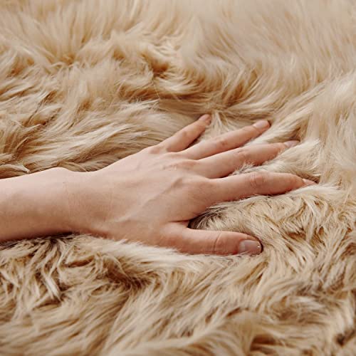Tapete Pelo Largo Beige 2x6 Pies SERISSA miniatura 2