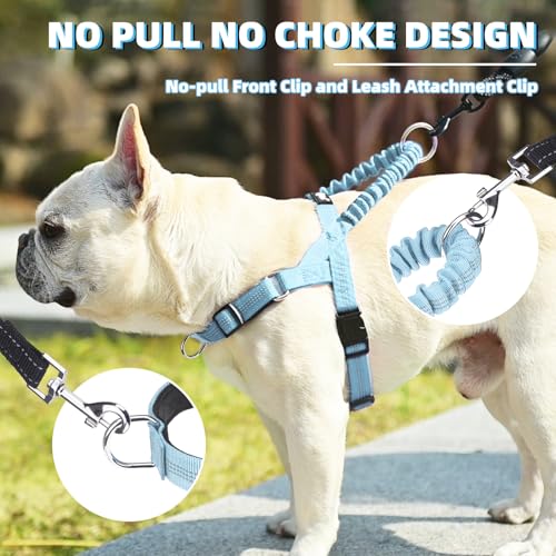 Image of PUPTECK No Pull Dog Harness Small Sized Dog, Adjustable Reflective Pet Vest Harness with Bungee Handle, Escape Proof No Choke Harness for Small Dogs Walking Training, Sky Blue S
