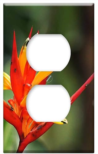 Switch Plate Outlet Cover - Nature People Animals Quindio Colombia 1