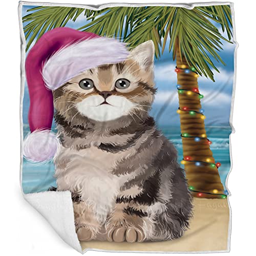 Doggie of the Day British Shorthair Cat Blanket - Christmas Summertime Beach - Super Soft & Warm Pet Theme for Sofa or Bed, Warm Fleece, Sherpa or Woven Material, BLNKT87466 (50x60 Woven)
