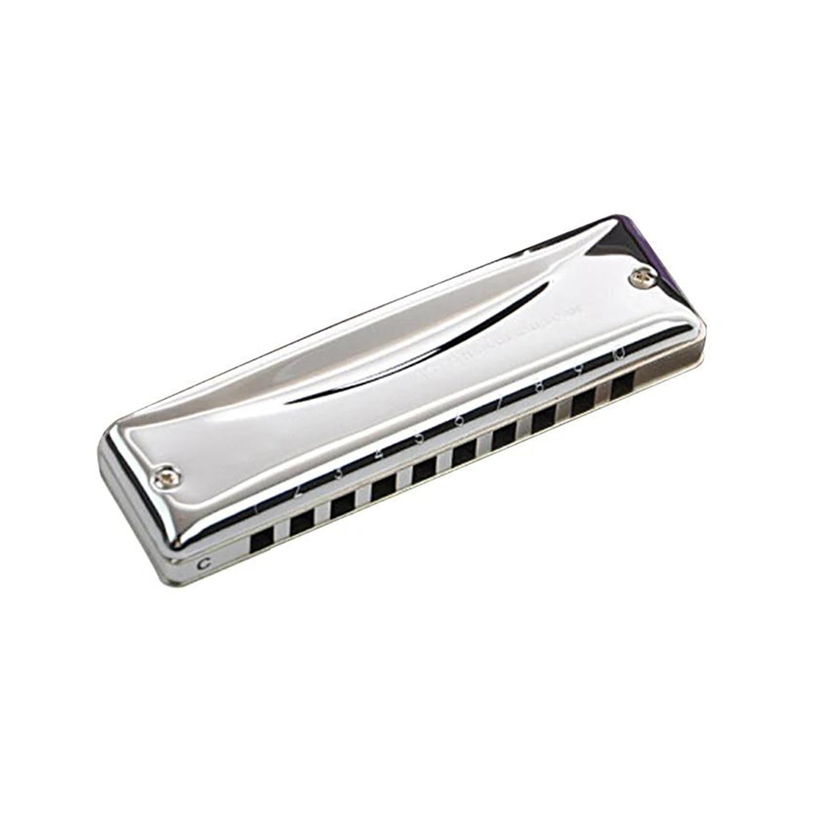 Armonica Armonica diatonica a 10 fori Blues Harp Armonica professionale in tonalità di Do