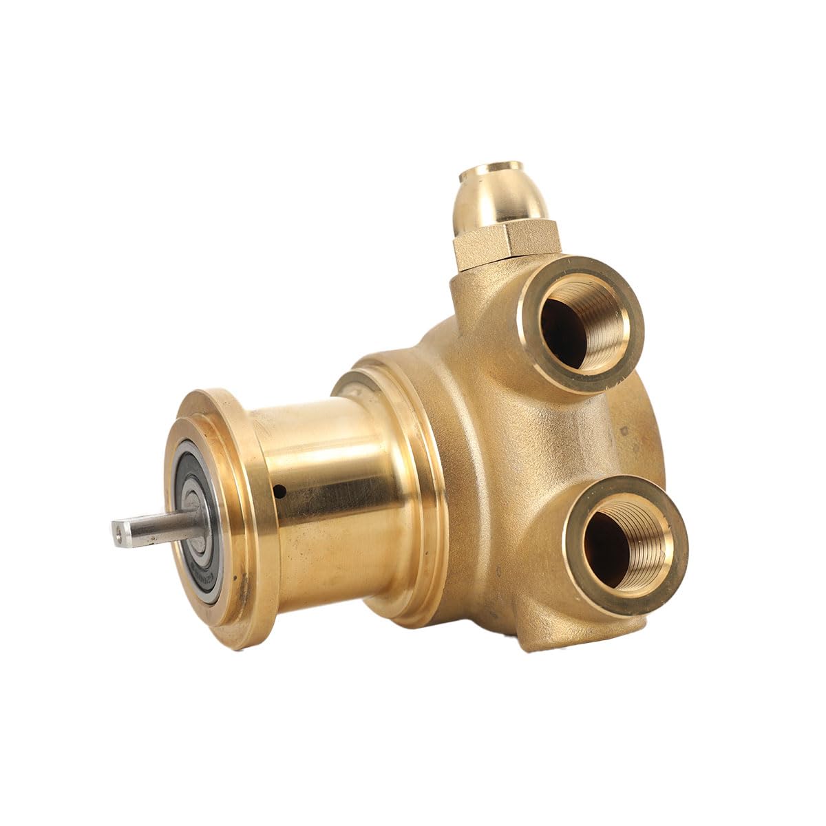 3/8 zoll NPT Messingpumpe, Messing Zerstäubungs Pumpe Drehschieberpumpe