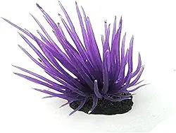 SOMA - Enfeite de Silicone Anemona Long Tentacle ROXA